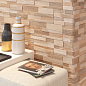 Wall Art RHS (Rondine) Ceramiche