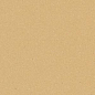 100CACOG cx.10 COGNAC COG 10x10 Winckelmans