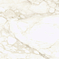 610010002745 Микеланджело Ворм 60x120 ColiseumGres
