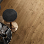 Heartwood Atlas Concorde