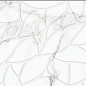 Carara Bianco Era 30x90 Gravita