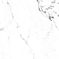 CR4006-A Borghini Silver Carving 60x60 Arcadia Ceramica