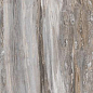 F918G10111 Tropical Glossy 90x180 FMAX
