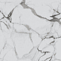 R_PR1002 Calacatta Luxe Polished 60x60 Royce