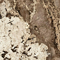 1278FD18 Milan Brown Glossy 6 mm 120x278 FMAX фото в миниатюре 2