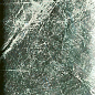 4101210 Dandy MR Green 5x25 41ZERO42