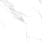 Satvario Calacata Polished 60x60 Concor