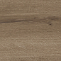 41729 Bloom Cognac SP/24x151x0,9/R 24x151 Peronda