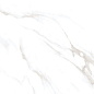 N40029 Statuario Royal Carving 60x120 Neodom