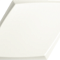 218268 Diamond Zoom White Matt 15x25.9 ZYX