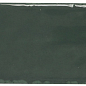 002484 Artisan Green Bottle 5x15 Monopole Ceramica