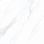 Statuario Venezia Glossy 60x120 Modern Tile