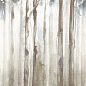 Dream Woods 6.5mm 120x278 Fondovalle