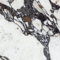 CALACATTA SUPRIME Polished 240x80 Staro