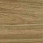 Alessandria Camel 19.5x120 Prissmacer