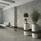Plaza La Platera фото в миниатюре 3