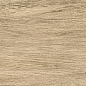 GP1560TAN11 Tanzania Beige матовый 151x602 New Trend