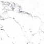 CR4006-A Borghini Silver Carving 60x60 Arcadia Ceramica