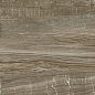 GFA92WDW44R Wonderwood 200x900x9 Alma Ceramica (Уралкерамика)