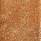 1080484 Cotto Del Campiano Cotto Dorato 20x40 CIR