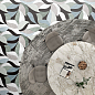 Sofia Satin Mix 60x120 ITC фото в миниатюре 4