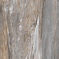 F918G10111 Tropical Glossy 90x180 FMAX