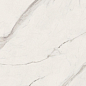 G67580 Statuario White Lux R 60x120 Versace (Gardenia Orchidea) фото в миниатюре 7