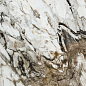 117428 Fantasy Levigato Rettificato 60x120 Naxos
