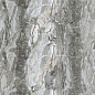 Ocean Awesome Grey Серый Полированный 60х60 Ceradim