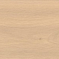 AX5V Log Bright Oak Matte 20x180 Atlas Concorde