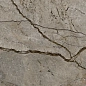 800 Passion Dark 29.5x89.5 Eurotile Ceramica