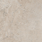 PF60012911 Pietra Viva Beige Nat Ret 120x120 ABK