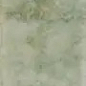 133176 Potters Agave 5x25 WOW