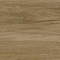 Alessandria Camel 19.5x120 Prissmacer