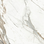 D60209M Calacatta Premium карвинг 600x600x9.5 Delacora