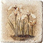 Inserto S3 Travertino 10x10 Serenissima Cir