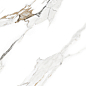 AB1202G Aspire Gold Gloss 600x600 Absolut Gres