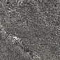 Образец 20х30 см керамогранита Duna - Shadestone Nero sugar lapp. - 600x600 мм Duna фото в миниатюре 4