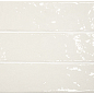 135399 Mediterraneo Sal Gloss 7x28 DNA Tiles