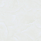 P16628 Kani Polished 60x60 Pardis Ceramic Pazh