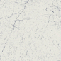 610010001194 Charme Extra Carrara Nat Ret 60x120 Italon