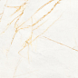 PF60017518 Supreme Hedonism Golden Spider Nat R 60x120 Flaviker