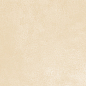 WT9PET11 Petra Beige 24.9х50 AltaCera
