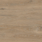 FO0L69M01 Forest Oak 60x120 Duna фото в миниатюре 3