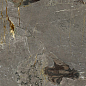 NTT3601P Stone Alpino 120x280 NT Ceramic