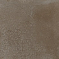 9039 Тракай коричневый светлый глянцевый 8.5x28.5 Kerama Marazzi