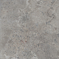 PF60012254 Pietra Viva Grey Antique 3D Ret 120x120 ABK