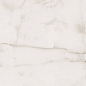 Grey Star 60x120 SotGres