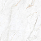 Arden White Velvet 60x120 Leopard