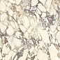 L315551MF6 Breccia Medicea Lucido 150x300 IRIS FMG